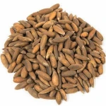 Pine nuts chillgoza Pakistani pine nuts