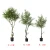 Import Plastic Amazon hot sale olive oil fruit tree green plant decoration artificial olive tree Artificial plant tree from China