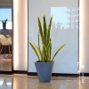 Plastic artificial bonsai snake plant/sansevieria/agave artificial ornamental plant for indoor decoration
