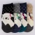 Import Polar bear polychromatic summer sweaty stockings from China