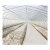 Import Pop-up Single Wide Span Greenhouse Domestic Hot Sale Tunnel Greenhouse Clear Plastic Greenhouse from China