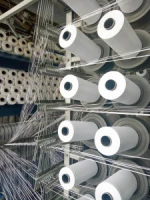 PP woven Roll