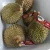 Import Premium Quality Delicious Frozen Fresh  Musang King Durian Pulp from China