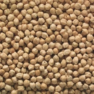 Premium Quality Desi Chickpeas