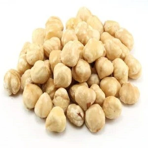 Premium Quality Raw Hazelnut / Organic Grade A Hazelnut at wholesale price