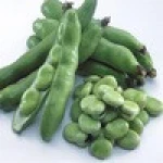 Price of broad beans dried Fava Beans