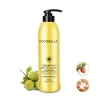 Private Label Hair Shampoo And Conditioner Set Pure Organic Sulphate Free Moroccan Argan Oil Shampoo