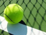 Professional Tennis Ball with your own logo and custom color