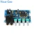 Import PT2399 Digital Microphone Amplifier Board Karaoke Reverberation Board Karaoke OK Amplifier Module Dual AC12V Electronic DIY PCB from China