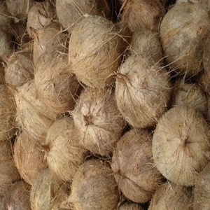 Pure Fresh Semi husked Dry coconut for sell From Bangladesh