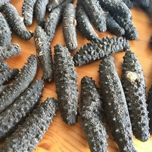 Quality Dried Black Teat/Thorn/Spikes Prickly Sea Cucumber