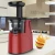 Import Quiet Reverse Function Slow Masticating Juicer Cold Press Juicer Vegetable Fruit Extractor from China