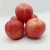 Import red delicious apples /honey fuji apple/green smith apple from United Kingdom
