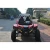 Import Renli EPA High Sales 1500cc Racing Cheap Dune Buggy 4 Seater Go Karts For 4 Adults from China