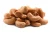 Import Roasted Salted Cashew Nuts / Roasted Unsalted Cashew Nuts / Roasted Flavoured Cashew Nuts from South Africa