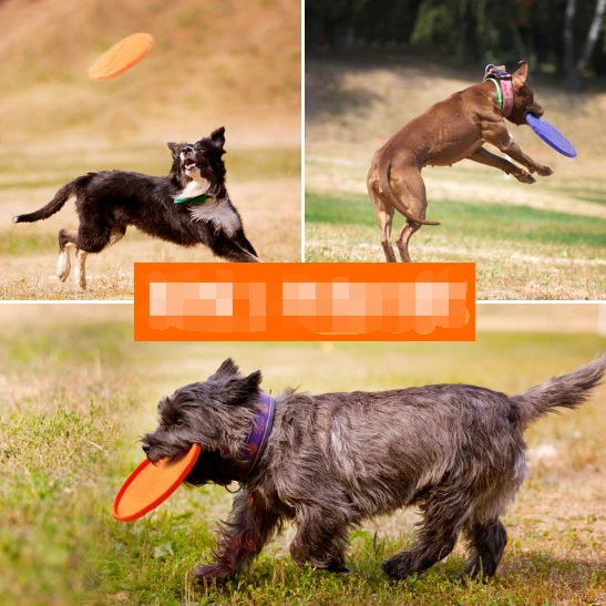 Rubber Flyer Dog Flying Disc Dog Toy Multi Color OEM Service For Large,Medium Dogs