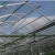 Import Sainpoly cheap agriculture multi-span glass greenhouse hydroponic greenhouse from China