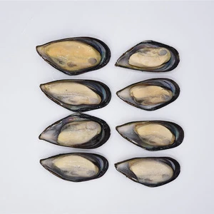 seafood shellfish frozen shell mussel