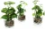Import Set of 3 Artificial Plants, Faux Tabletop Greenery w/Clear Glass Pots from China
