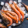 shrimp / Frozen  shrimp
