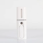 Small USB Plug Electric Aromatherapy Humidifier Aroma Essential Oil Diffuser, Handheld Ultrasonic Mini Ultrasonic Facial Steamer
