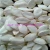 Import Snow White Pumpkin Seed on sale (heilongjiang ) from China