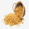 soybean seed / soyabean seed