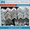 Sturdy Construction Highly Demanded Stainless Steel Angle at Affordable Price