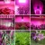 Import Super Bright 1000W Full Spectrum  LED Grow Light Indoor Garden Greenhouse Plant Growing Light from China