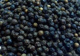 Super High Quality and Low Price Black pepper