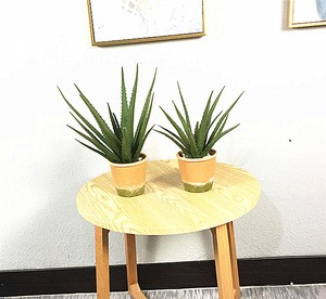 Supply small potted table plants artificial aloe indoor home office hotel landscape ornamental plant