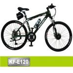 Top quality 1000w electric bicycle hub motor