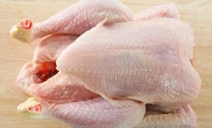 Top Quality Halal Frozen Whole chicken - Best Price
