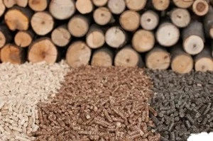 Top Quality  High calorific value 100% Wood pellets for sale