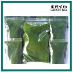 Top Quality Trichoderma Harzianum for Biological Fertilizer