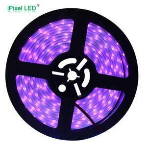 UV Ultraviolet Purple 5050 Flexible LED Strip Lamp Black Light 12V Waterproof