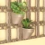 Import Vertical garden systems green wall Modules vertical garden pots and Planters from China