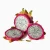 Import Vietnam fresh dragon fruit has a strong flavor and is popular with many people made in Vietnam from Vietnam