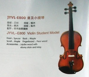 Violin--student model