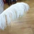 Import Wedding Home Party Decorative Ostrich Feather Peacock Feather from China
