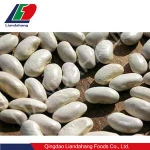 White Lima Beans
