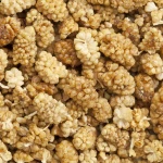 White Mulberry, Organic Certified EU!