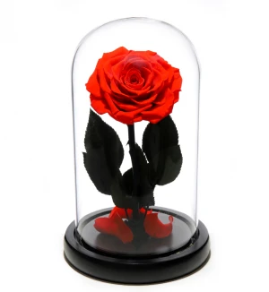 Wholesale 9-10 cm preserved roses fresh cut flowers Material preserved roses in glass Christmas gift