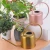Wholesale Brass Effect Watering Can Metal Outdoor Watering Can Vintage Watering Can
