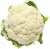 Import Wholesale Cauliflower/ Fresh Cauliflower Vegetable / Fresh Frozen Cauliflower from France