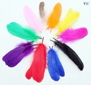 Wholesale Cheap Dyed Goose Feathers on Sale