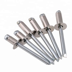 Wholesale Factory Price  Stainless Steel SS 304 316 Pop Rivet