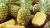 Import Wholesale Fresh Pineapple / Pineapple Fruit Price / Bulk Fresh Fruit Pineapple from Canada