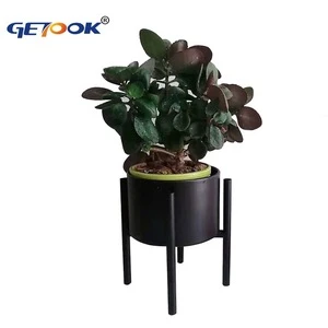 Wholesale Garden Succulent Plant Flower Pots Ceramic with Metal Stand