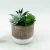 Import wholesale home decoration Plastic Artificial Plant and tree with ceramic flower pot plastic plants indoor from China